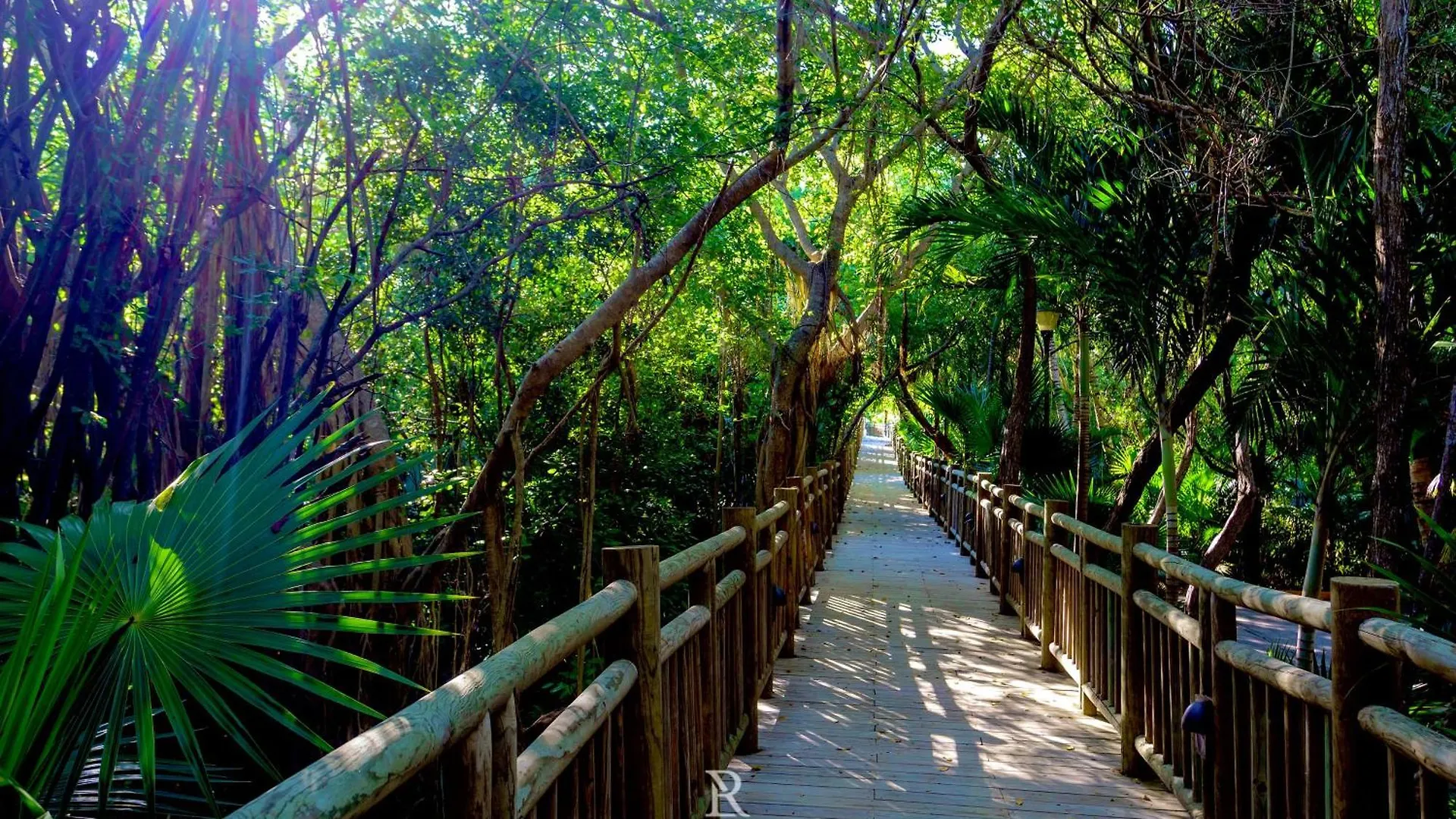 Estates Two Bedroom - Riviera Maya بويرتو موريلوس منتجع